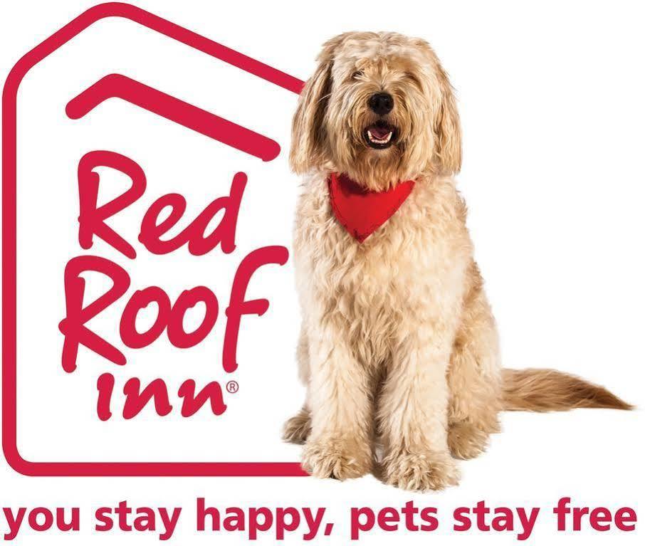 Red Roof Inn Κάντον Εξωτερικό φωτογραφία